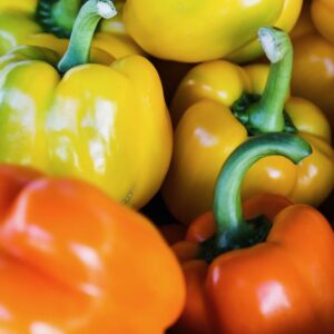 Pregnancy, Fertility, and Breastfeeding Diet: Bell Pepper