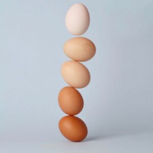 Pregnancy, Fertility, and Breastfeeding Diet: Eggs