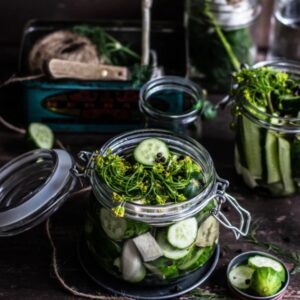 Pregnancy, Fertility, and Breastfeeding Diet: Fermented Vegetables
