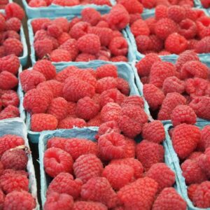Pregnancy, Fertility, and Breastfeeding Diet: Raspberries